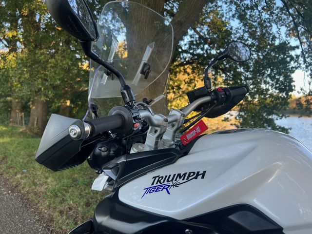 triumph - tiger-800-xc