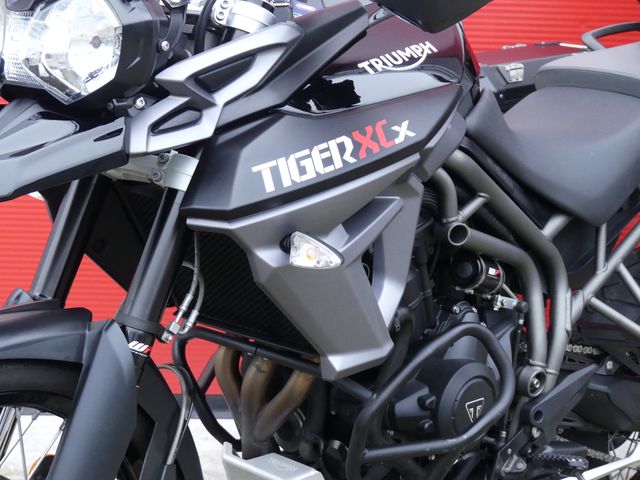 triumph - tiger-800-xcx