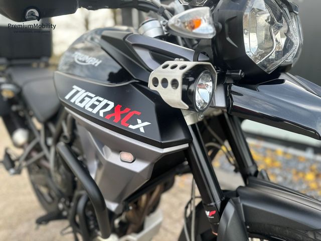 triumph - tiger-800-xcx