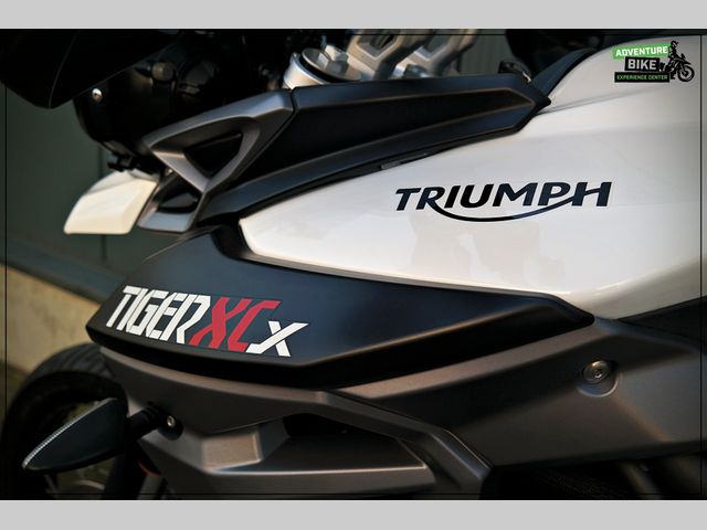 triumph - tiger-800-xcx