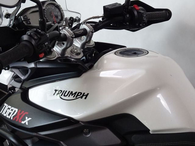 triumph - tiger-800-xcx