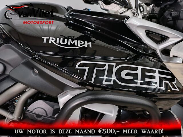 triumph - tiger-800-xr