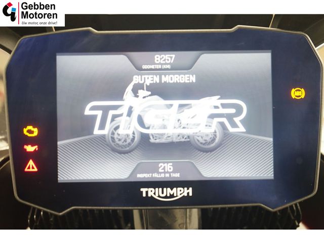 triumph - tiger-900-gt-pro