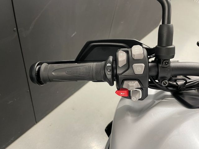 triumph - tiger-900-gt-pro