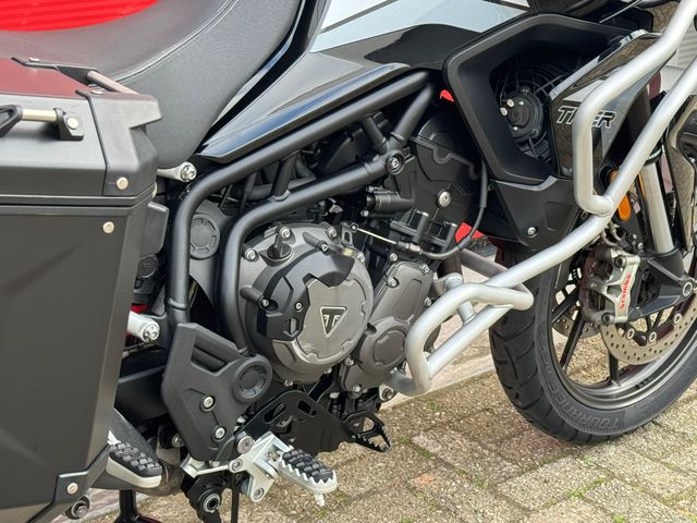 triumph - tiger-900-gt-pro