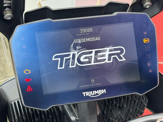triumph - tiger-900-gt-pro