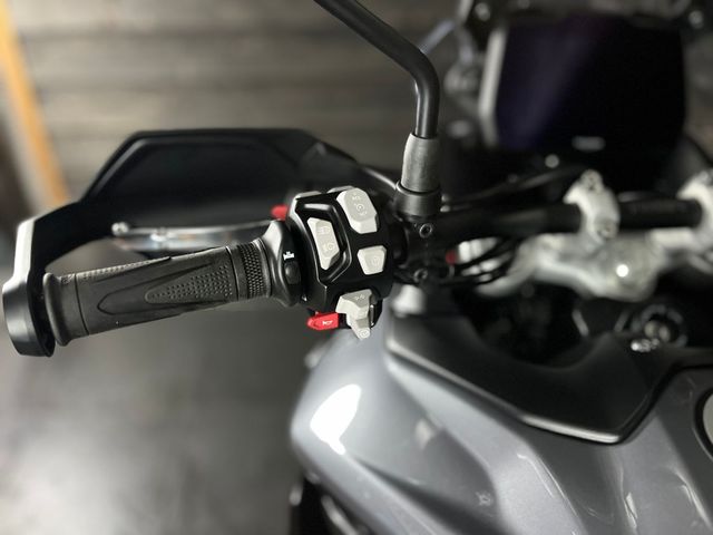 triumph - tiger-900-gt-pro