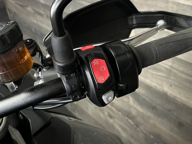 triumph - tiger-900-gt-pro