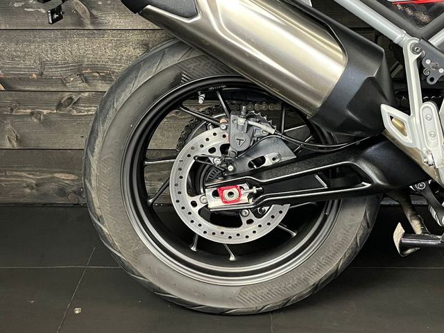 triumph - tiger-900-gt-pro