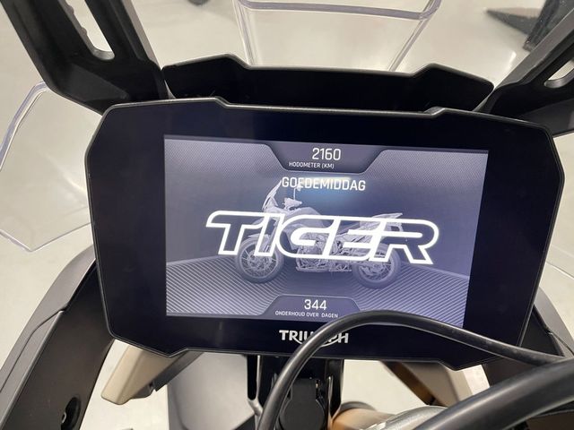 triumph - tiger-900-rally