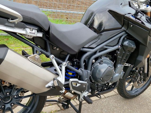 triumph - tiger-explorer