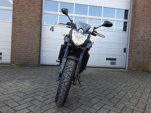 yamaha - fz-8