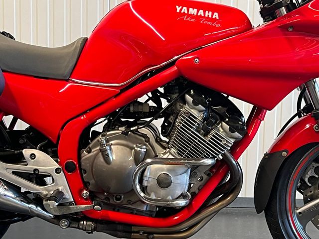 yamaha - xj-600-s---diversion