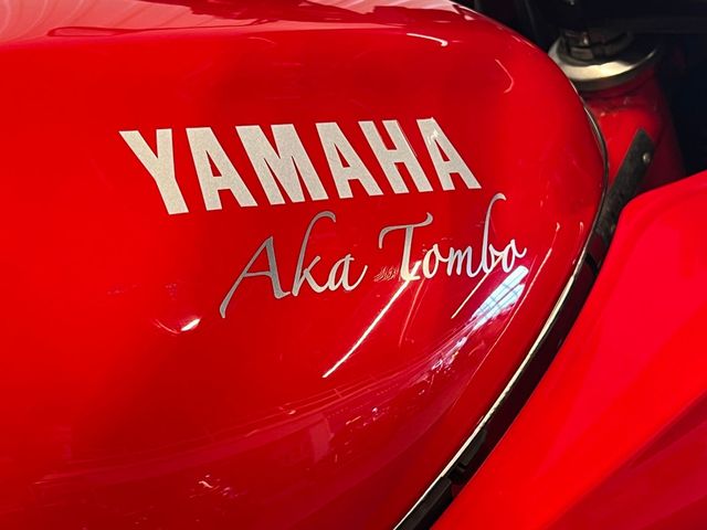 yamaha - xj-600-s---diversion