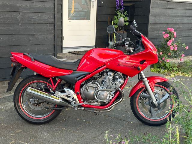 yamaha - xj-600-s---diversion