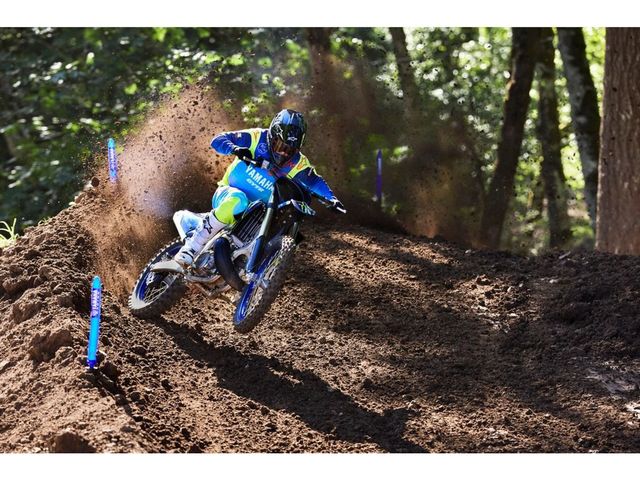 yamaha - yz-250-f-monster-energy-yamaha-racing-edition